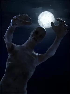 双月之争