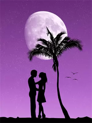 为妹妹毁了我之后，全家疯了(林芙何齐)完整版免费小说_最热门小说为妹妹毁了我之后，全家疯了(林芙何齐)